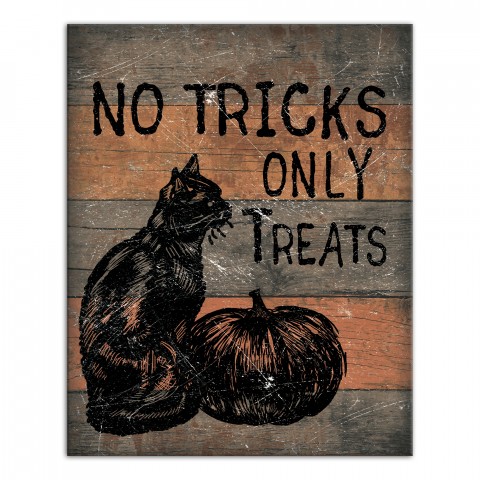 No Tricks 16x20 Canvas Wall Art