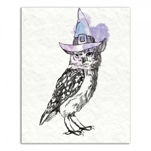 Witchy Owl 16x20 Canvas Wall Art