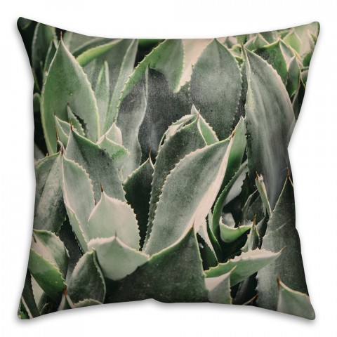 Lavish Succulent 16x16 Throw Pillow