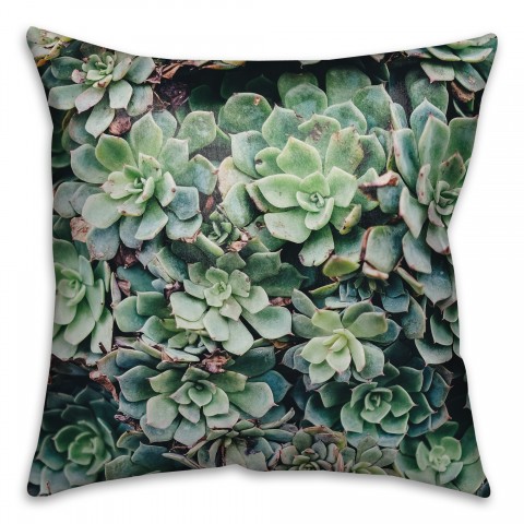 Lush Succulent 16x16 Throw Pillow
