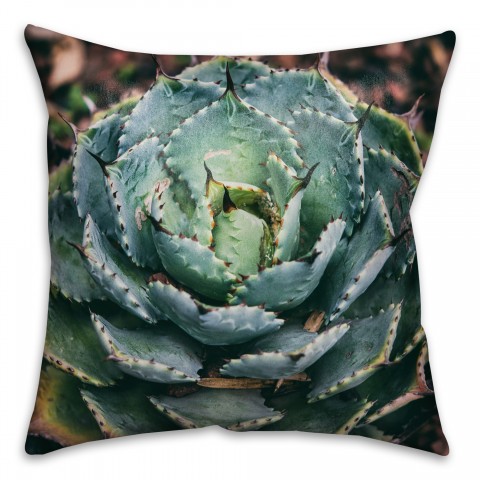 Solitary Succulent 16x16 Throw Pillow