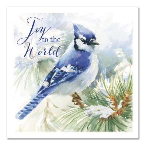 Joy to the World Blue Jay 24x24 Canvas Wall Art