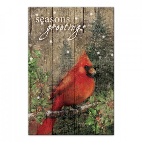 Season's Greetings Cardinal 24x36 Canvas Wall Art