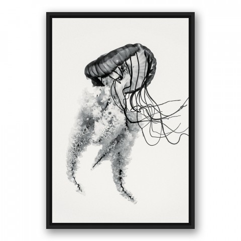 Black and White Jellyfish 20x30 Black Floating Frame Canvas