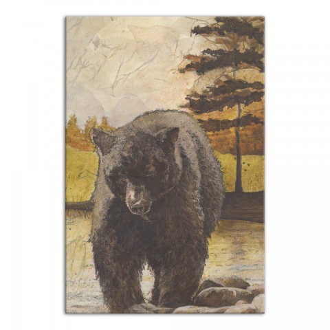 Forest Bear 24x36 Canvas