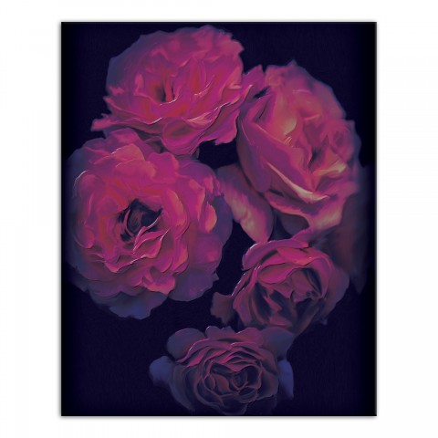 Dark Rose Vignette 16x20 Canvas Wall Art