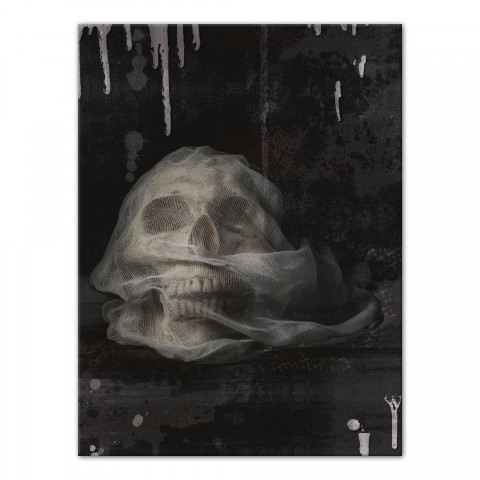Spooky Skull 18x24 Canvas Wall Art