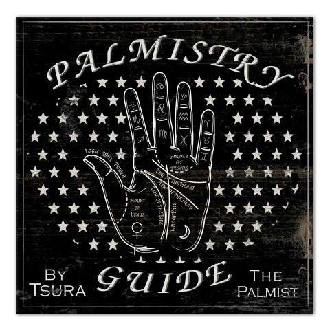 Fortune Teller Palm Reading Guide 16x16 Canvas Wall Art