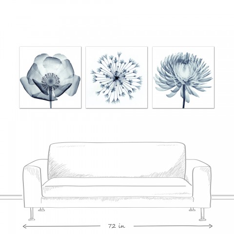Blue X-Ray Flowers 36x36 Canvas Set