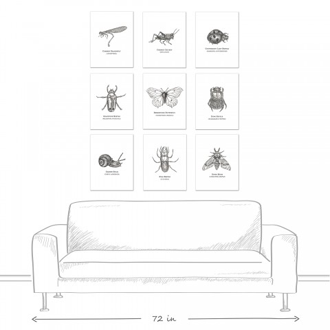 Insect Studies 11x14 Canvas Set