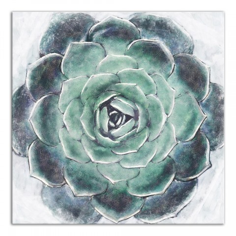 Up-close Succulent 36x36 Canvas