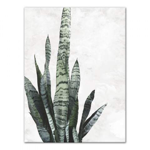 Snake Plant on Marble 30x40 Canvas