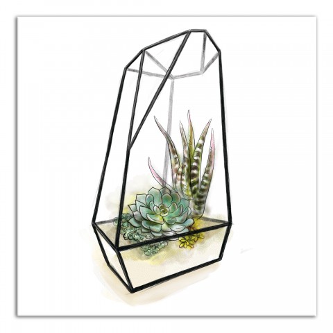 Terrarium 24x24 Canvas