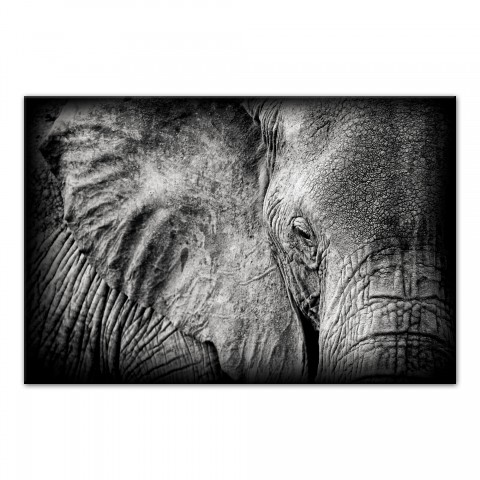 Up-close Elephant 48x32 Canvas
