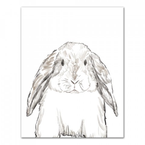 Baby Bunny Sketch Canvas Wall Art, 11x14