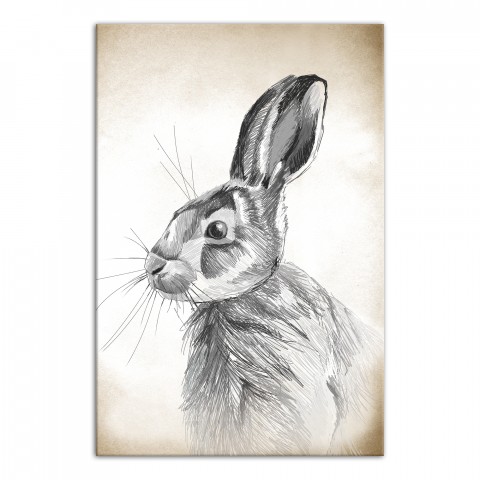 Dignified Hare Canvas Wall Art, 12x18