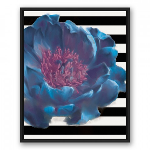 Blue Flower on Black and White Stripes II 24x30 Black Floating Framed Canvas