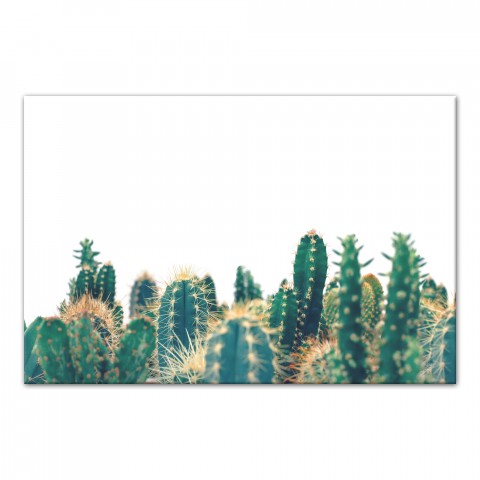 Prickly Cactus 30x20 Canvas