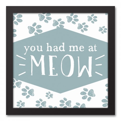 You Had Me at Meow 12x12 Black Framed Canvas
