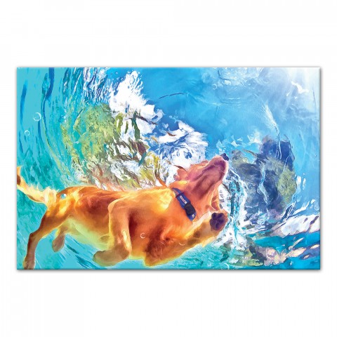 Painted Underwater Dog Wall Art