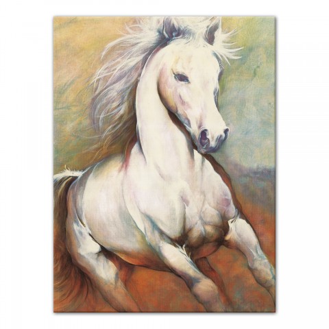 Designs Direct Creative Group White Horse Running Wild Wall Art