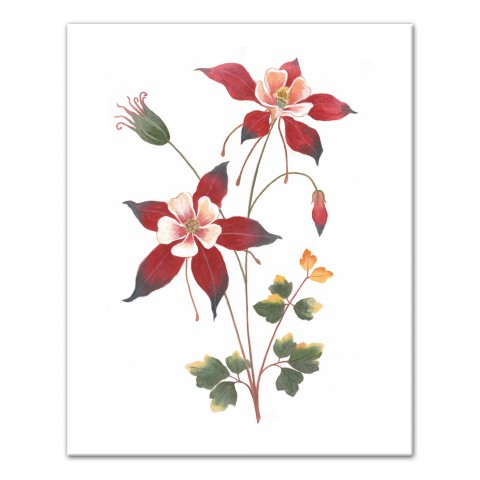 Pink and Red Floral Botanicals Wall Art