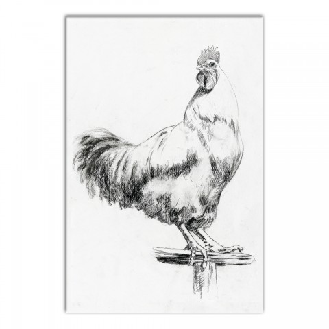 Designs Direct Creative Group Farmhouse Rooster Sketch Black and White Wall Art