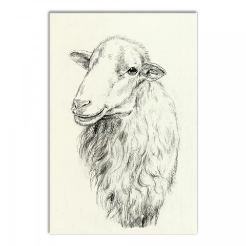 Designs Direct Creative Group Farmhouse Sheep Sketch Wall Art