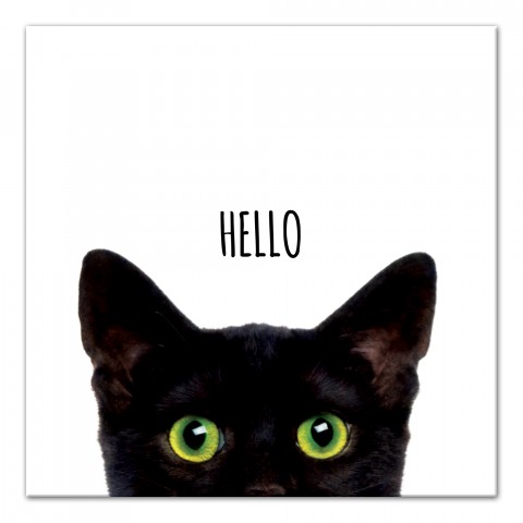 Curious Hello Black Cat Wall Art