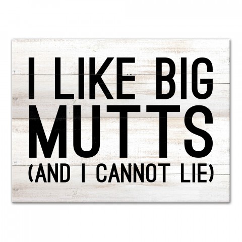 I Like Big Mutts 30x40 Canvas Wall Art