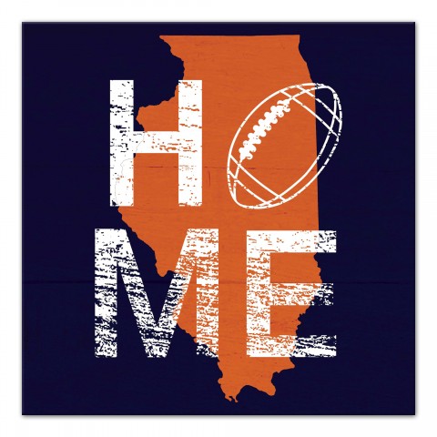Designs Direct Creative Group Illinois Football State Pride 16x16 Canvas Wall Art