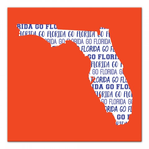 Designs Direct Creative Group Orange Florida Go Team 16x16 Canvas Wall Art