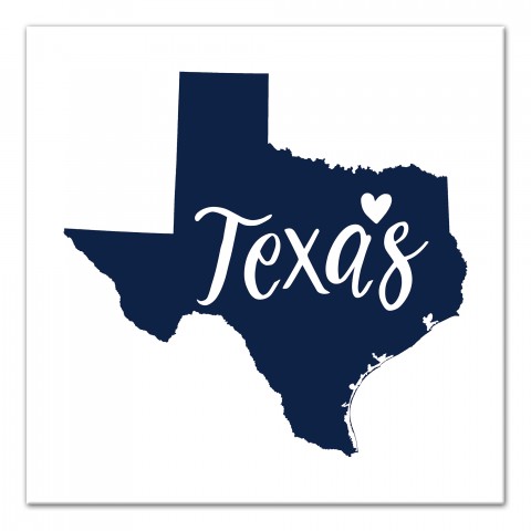 Designs Direct Creative Group Blue and White Texas Pride 16x16 Canvas Wall Art