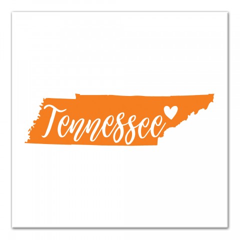 Designs Direct Creative Group Orange and White Tennessee Pride 16x16 Canvas Wall Art