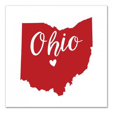 Designs Direct Creative Group Red and White Ohio Pride 16x16 Canvas Wall Art