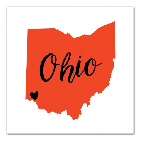 Designs Direct Creative Group Orange and Brown Ohio Pride 16x16 Canvas Wall Art