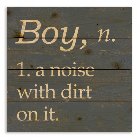 Definition of a Boy 14x14 Pallet Wood Art