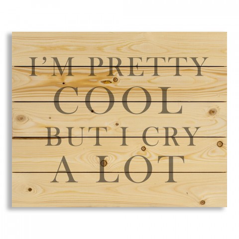 I'm Pretty Cool but I Cry A Lot 22x18 Pallet Wood Art