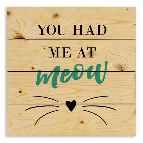 You Had me at Meow 14x14 Pallet Wood Art