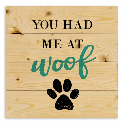 You Had me at Woof 14x14 Pallet Wood Art