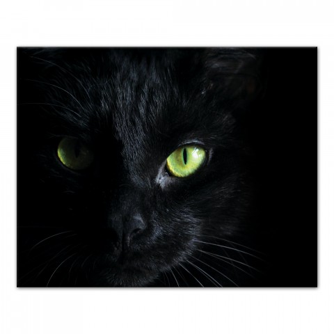 Halloween Black Cat 16x20 Canvas Wall Art