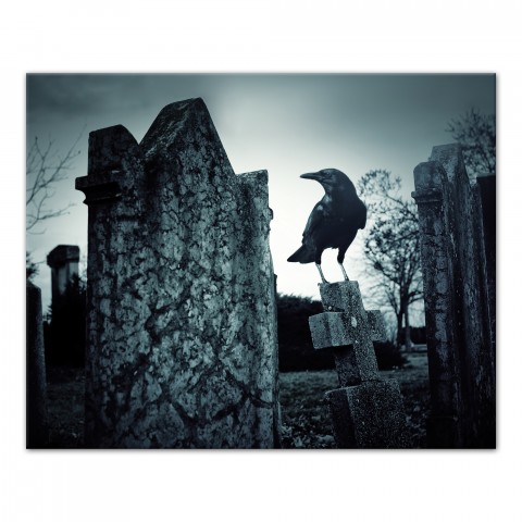 Creepy Graveyard Trees 16x20 Canvas Wall Art