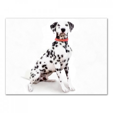 Halloween Spider Dalmatian Painted 18x24 Canvas Wall Art