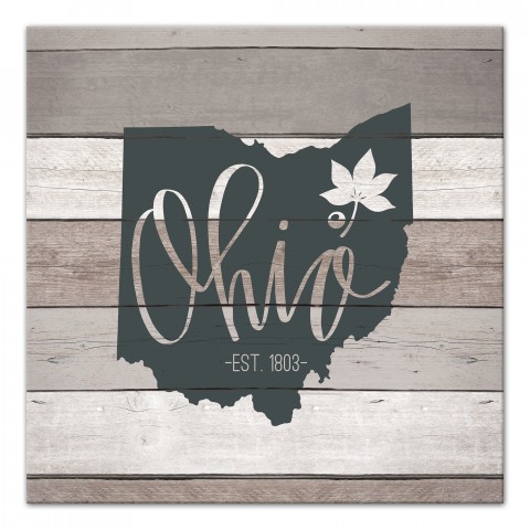 Ohio Established 16x16 Canvas Wall Art