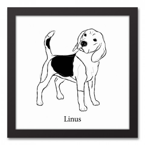 Beagle Sketch 12x12 Personalized Black Framed Canvas