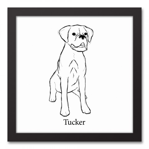 Boxer Sketch 12x12 Personalized Black Framed Canvas