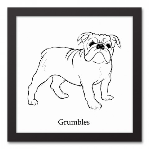 Bulldog Sketch 12x12 Personalized Black Framed Canvas