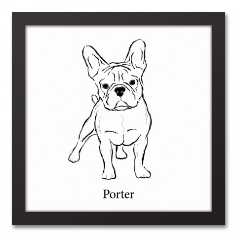 Frenchie Sketch 12x12 Personalized Black Framed Canvas