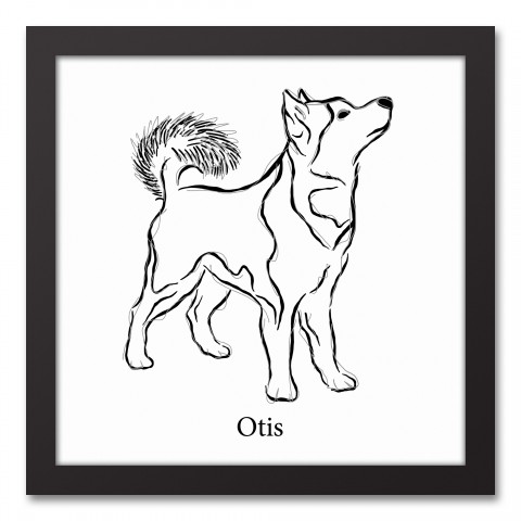Husky Sketch 12x12 Personalized Black Framed Canvas
