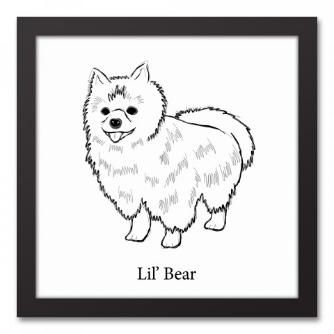 Pomeranian Sketch 12x12 Personalized Black Framed Canvas